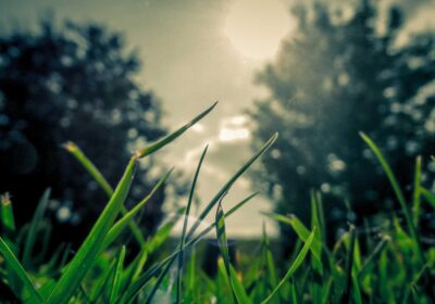 Pelling Trekking Package — 5 Days gallery